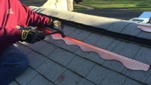 Roof Algae: The Importance of Effective Removal