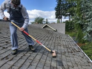 Roof Algae: The Importance of Effective Removal