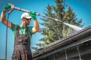 Roof Algae: The Importance of Effective Removal